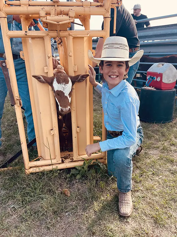 calf with boy tag day